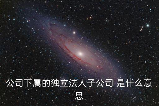下屬子公司是什么意思，母公司集團(tuán)公司是有限責(zé)任公司下屬子公司有的是有限責(zé)任公