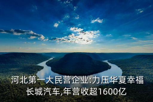  河北第一大民營(yíng)企業(yè):力壓華夏幸福長(zhǎng)城汽車,年?duì)I收超1600億