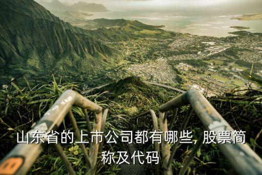 山東省的上市公司都有哪些, 股票簡(jiǎn)稱(chēng)及代碼