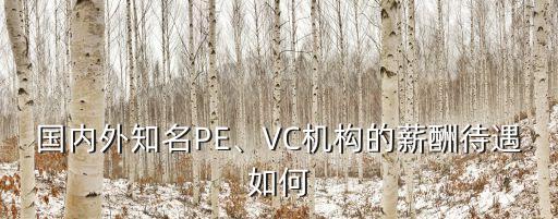 國(guó)內(nèi)外知名PE、VC機(jī)構(gòu)的薪酬待遇如何
