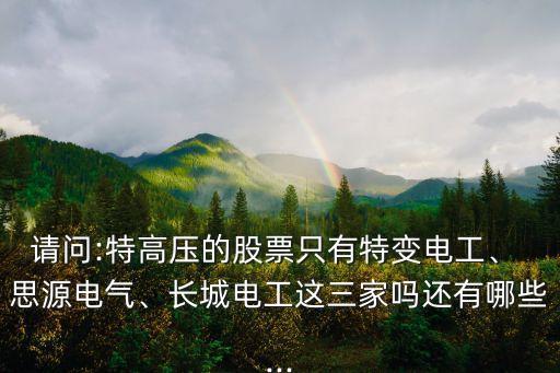 請問:特高壓的股票只有特變電工、 思源電氣、長城電工這三家嗎還有哪些...