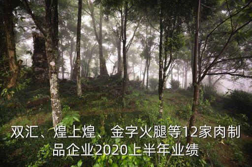雙匯、煌上煌、金字火腿等12家肉制品企業(yè)2020上半年業(yè)績(jī)