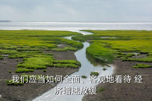 .我們應當如何全面、客觀地看待 經濟增速放緩