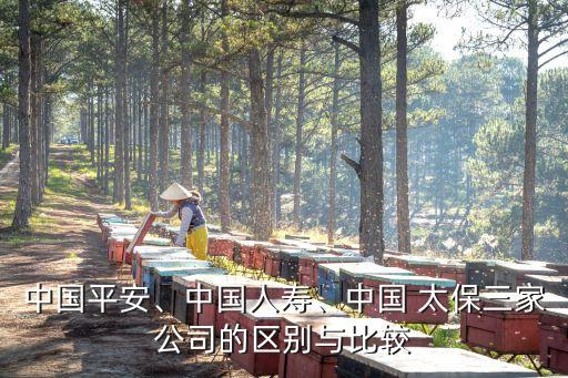 中國平安、中國人壽、中國 太保三家公司的區(qū)別與比較