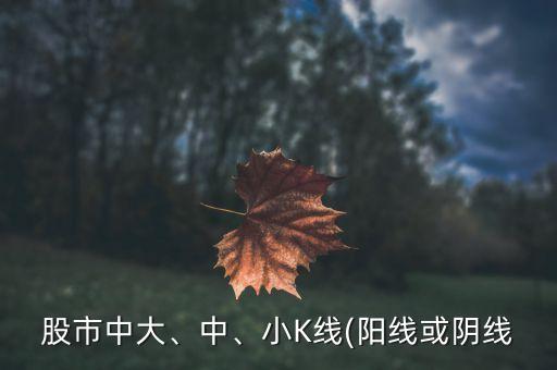股市中大、中、小K線(陽線或陰線