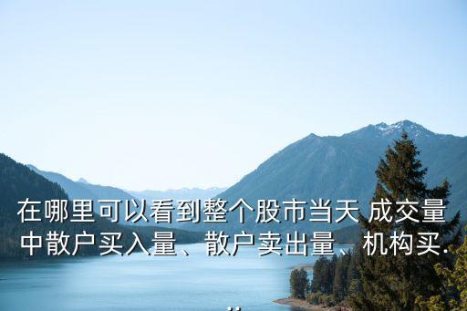 在哪里可以看到整個股市當(dāng)天 成交量中散戶買入量、散戶賣出量、機(jī)構(gòu)買...