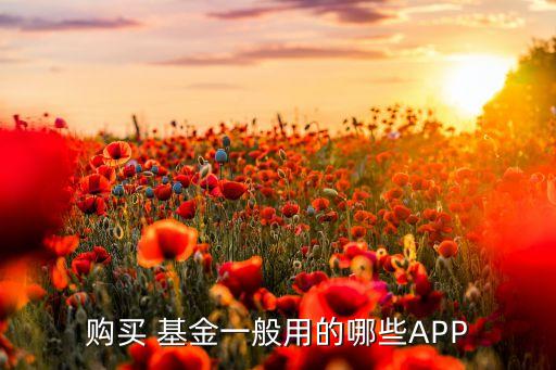 第三方基金理財平臺哪個好,證券公司和第三方理財機(jī)構(gòu)哪個好