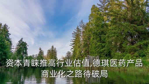 資本青睞推高行業(yè)估值,德琪醫(yī)藥產品商業(yè)化之路待破局