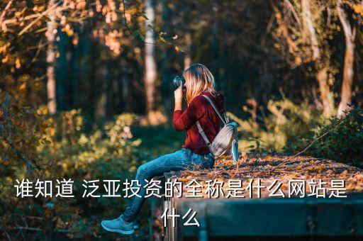 誰(shuí)知道 泛亞投資的全稱(chēng)是什么網(wǎng)站是什么