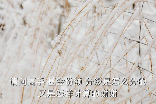 請(qǐng)問高手 基金份額 分級(jí)是怎么分的又是怎樣計(jì)算的謝謝