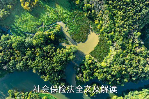 社會保險基金監(jiān)管的理論依據(jù)及要點(diǎn)
